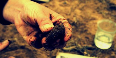 Soil pollution: changes to your obligations since this summer